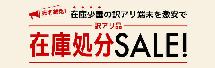 訳アリ品在庫処分SALE！