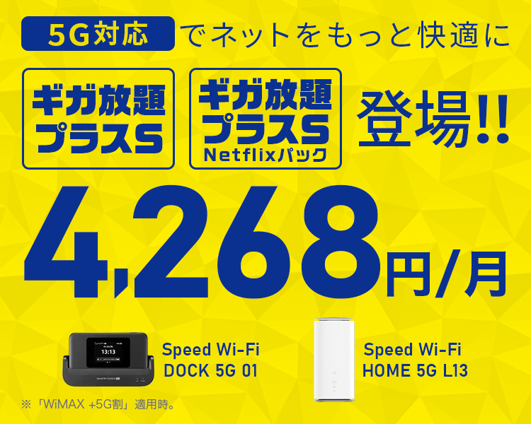 ギガ放題プラスSギガ放題プラスS Netflixパック新登場