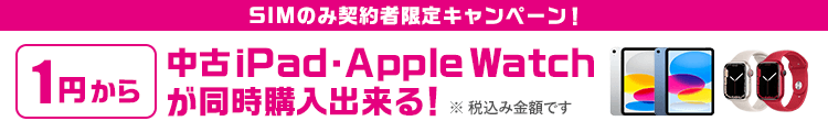 SIMのみ契約者限定キャンペーン！(Apple)