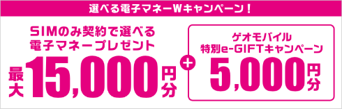 選べる電子マネーWキャンペーン 最大15,000円分＋5,000円分