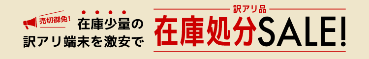 訳アリ品 在庫処分SALE！