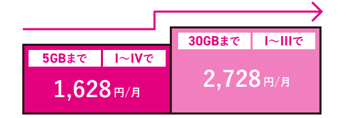5GBまでI～IVで1,628円/月 30GBまでI～IIIで2,728円/月